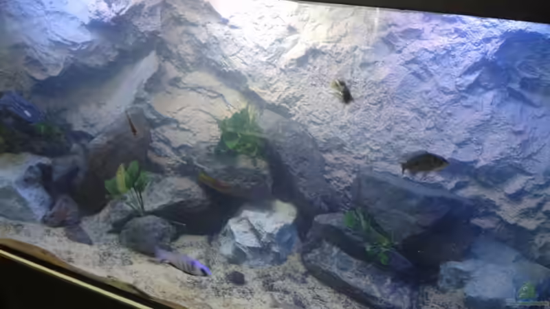 Noch leicht trüb aber schon besser von der Steirer (3)