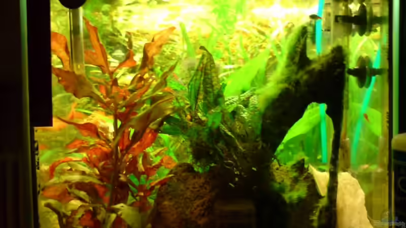 noch mal die Rechte Seite  von ThomasS. (7)