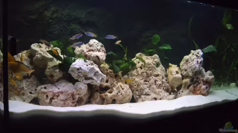 noch mal vorne von Markus Gebauer (2)