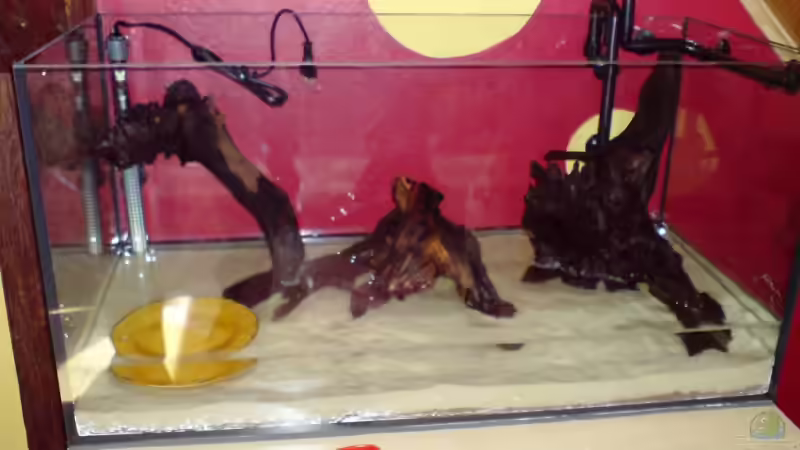 Noch mehr Baustelle... von elmo (2)