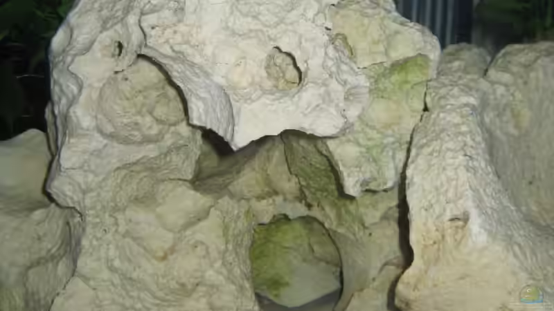 noch mehr Höhlen von Meike_R (21)