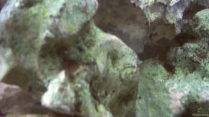 Noch mehr Höhlrn und Spalten  von Alexander Siefer (7)