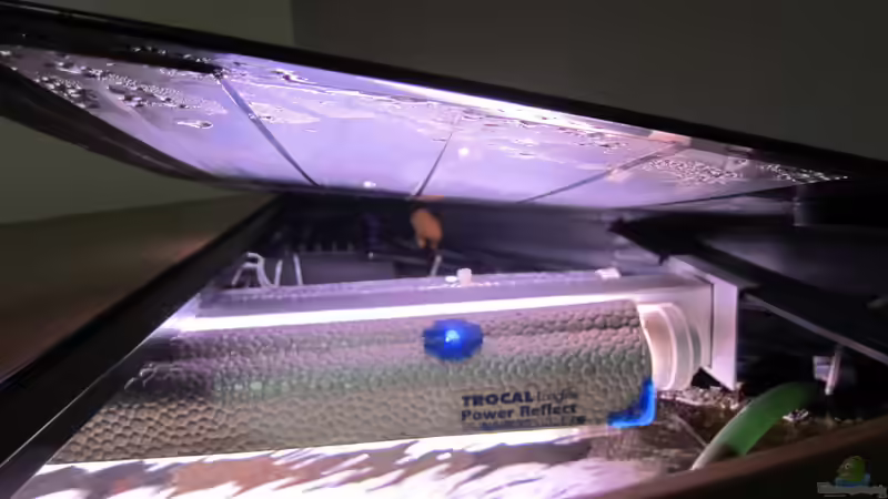 noch mit Leuchtbalken von Malawifürst (4)