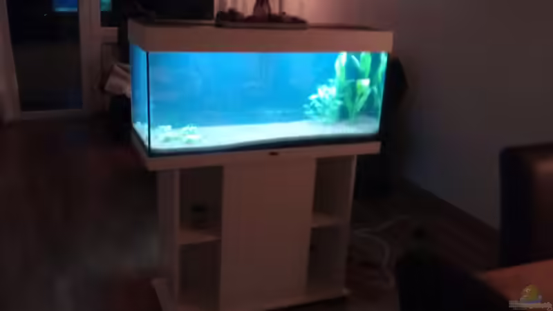 Noch mit offener Rückseite von Anna S. B. (3)