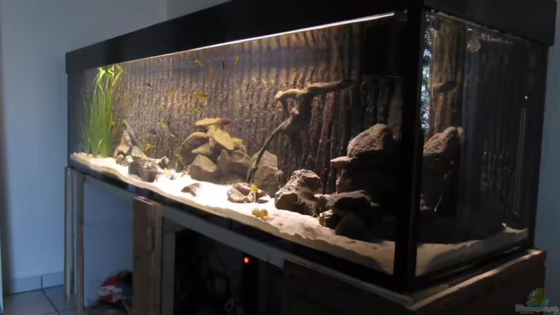 Noch nicht fertig!! von Haens84 (12)