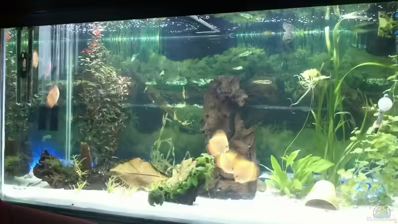 Noch nicht fertig!!!