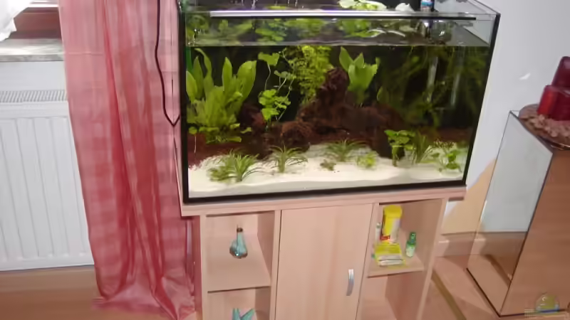 Noch nicht ganz gefülltes Becken wegen gärtnerarbeiten, zwischenzeitlich ist es von Stefan Danner (2)