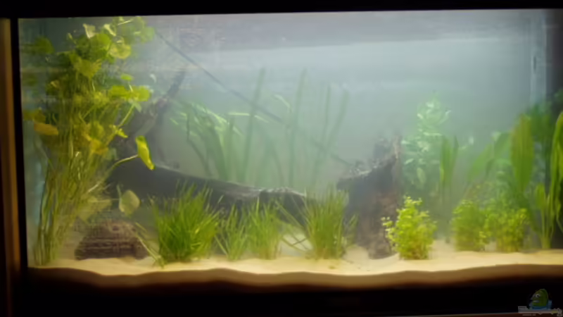 Noch ohne abdeckung der Rückscheibe und gerade eingerichtet.