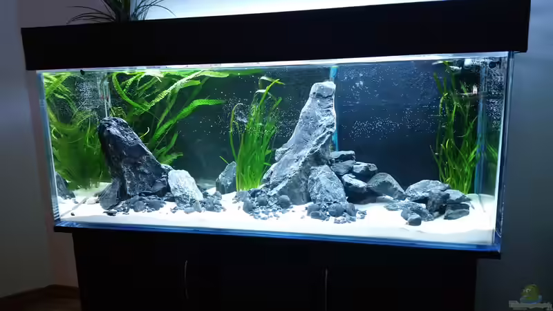 noch ohne Besatz von nadja9500 (11)