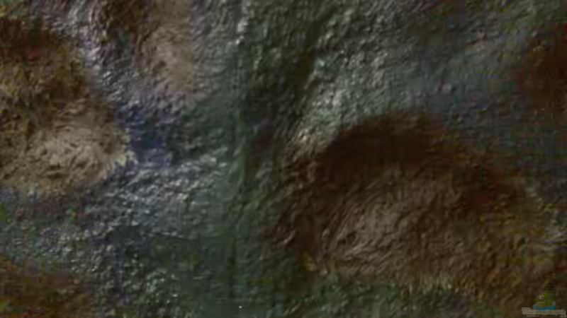 noch ohne blaue Farbe von Renè Rupf (22)