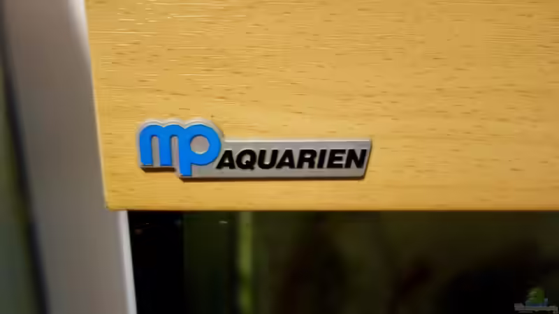 Noch ohne Eheim ;OD von NOWI1976 (4)