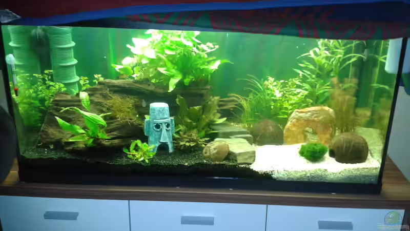 noch ohne Fische von Jessi & Daniel (4)