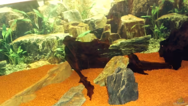 noch ohne Pflanzen von Michael Kunig (10)