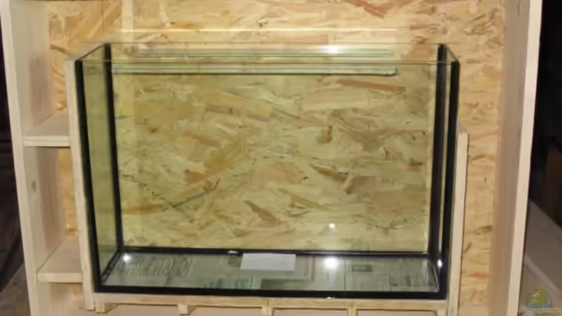 noch ohne Rahmen von Stefan Zaus (4)