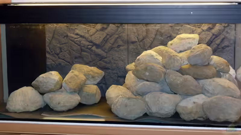 noch ohne Sand und Pflanzen von Christoph Winter (2)