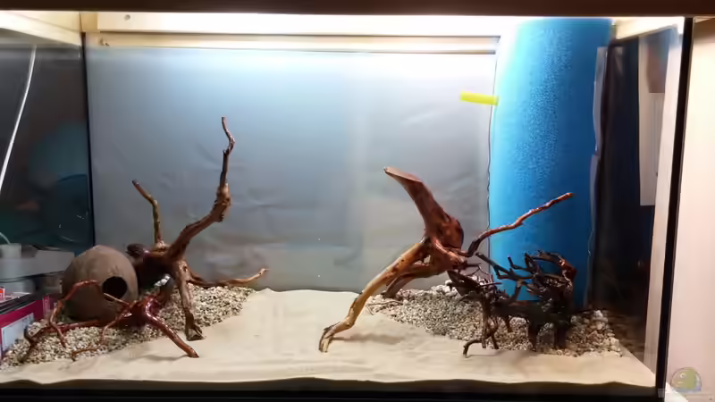 Noch ohne Steine von KleinerPlaty (12)