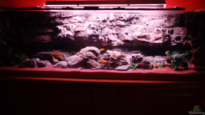 Noch ohne SunaECO von Frank Hopp (8)