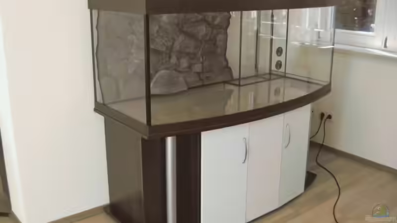 Noch ohne Wasser... von Frontosa (2)