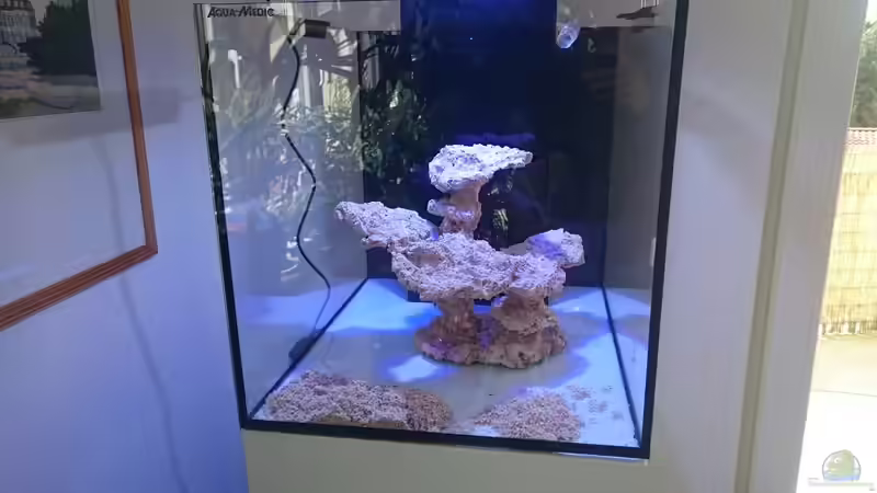 noch ohne Wasser von Nano Jojo (3)