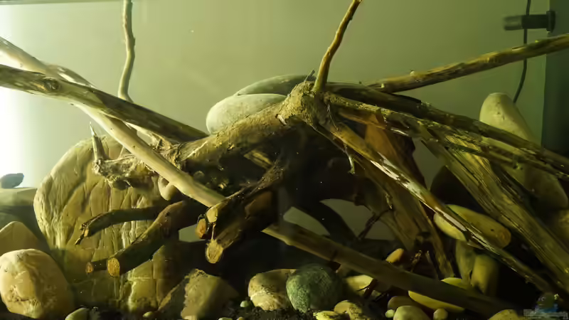 noch ohne Wasser von Rootsman (9)