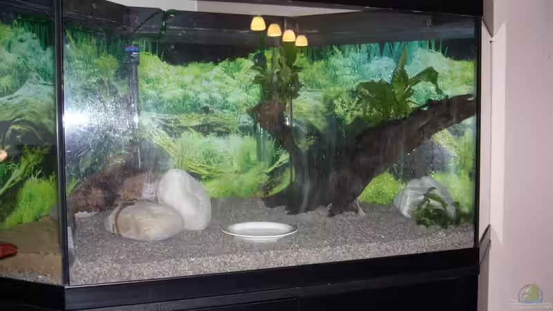 noch ohne Wasser von Sunnyboy_72 (5)