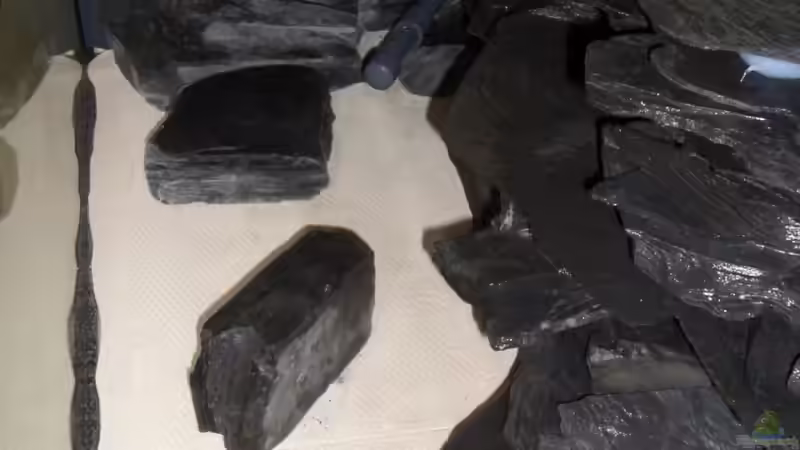 Noch trocken von Marc Weise Manuela Schmidt & (2)