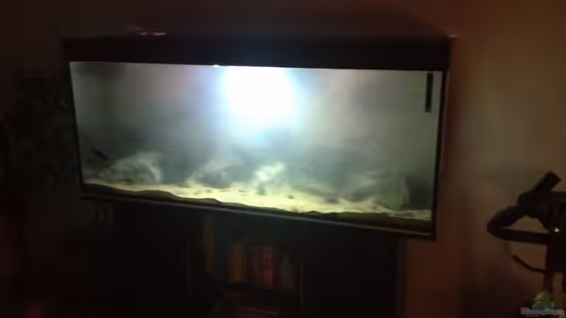 Noch trüb aber schon mit Besatz  von der Steirer (2)