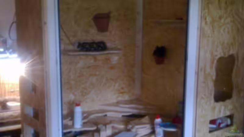 Noch viel Arbeit aber langsam wird es von Betta Chris (28)