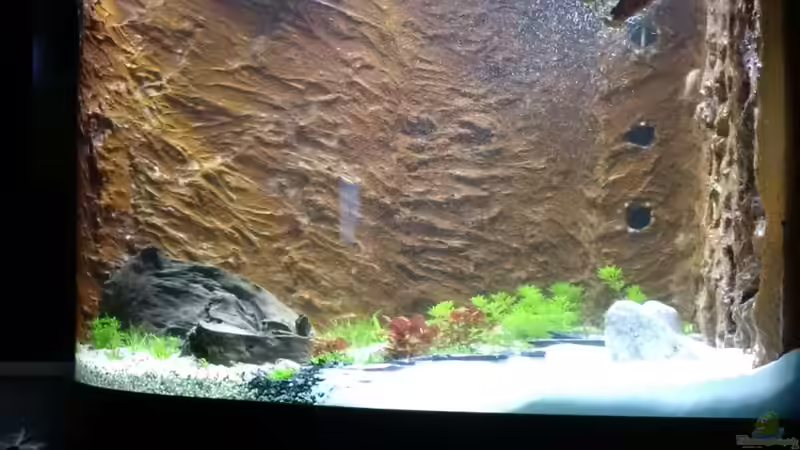 Noch ziemlich am Anfang. Die Pflanzen sich recht klein. Mittlerweile reicht die hintere von Sanyarhu (2)