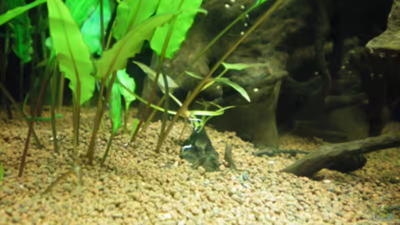 nochmal... von Thomas Ahrens (20)