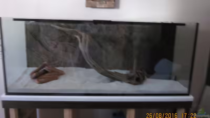 Nochmal alles raus, Hauptwurzel auf die rechte Seite . . . von Ottche (11)