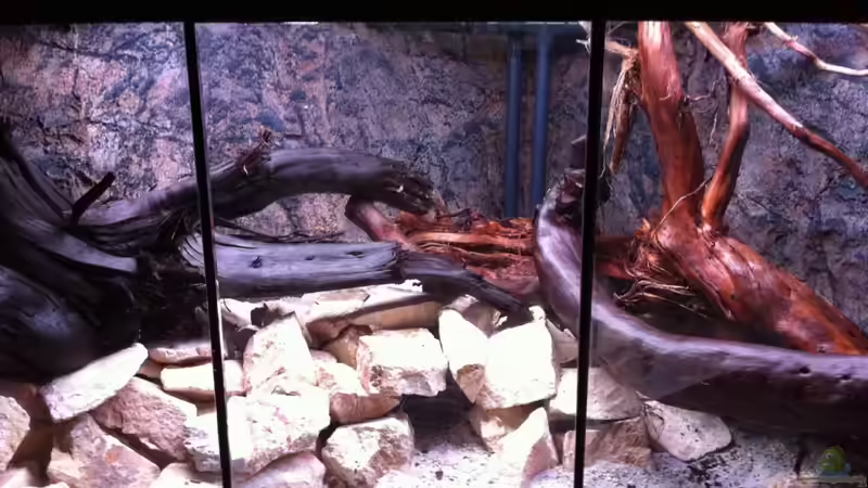 Nochmal die Mitte, aber aus anderer Sicht von GGuardiaNN (56)