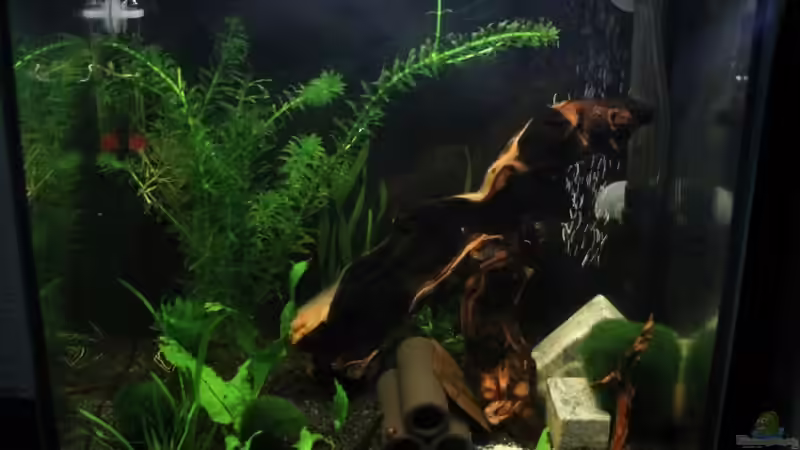 nochmal eine Gesamtansicht von Sebastian Wolff (5)