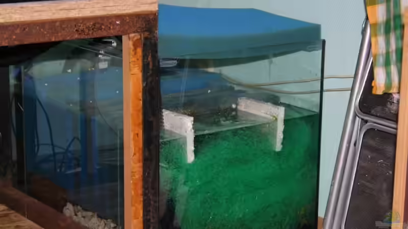 nochmal filterbecken von Kyrea (4)