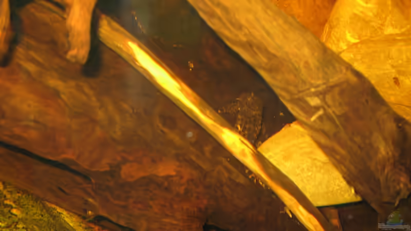 nochmal l147 von der Theoretiker (85)