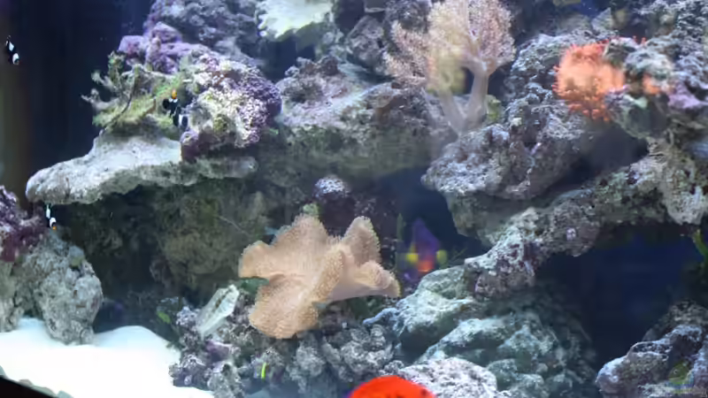 Nochmal links aus einem anderen Blickwinkel von Thorsten John (5)