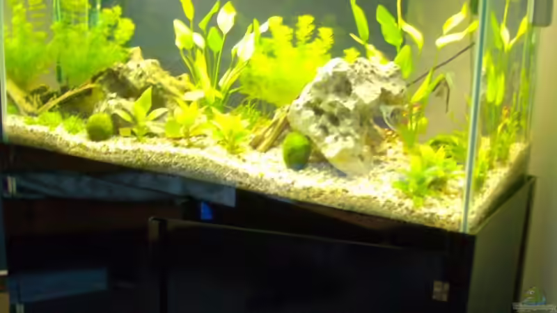 Nochmal mein AQ von Mark S. (2)