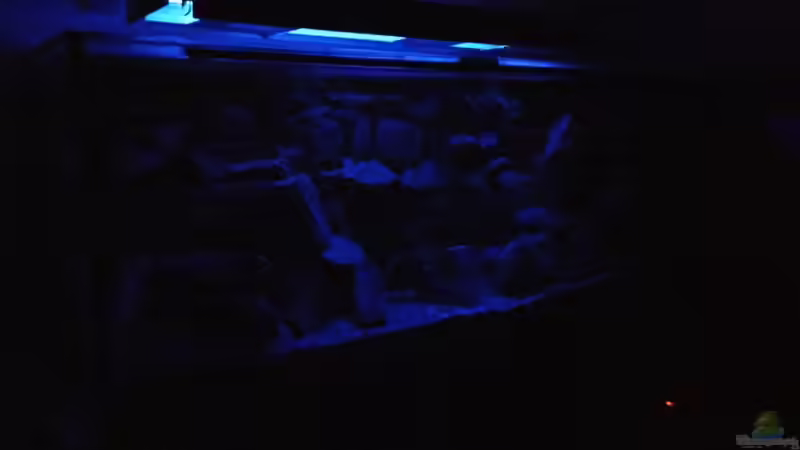 Nochmal mit Mondlicht ;-)  von Wasserfest ;-) (10)