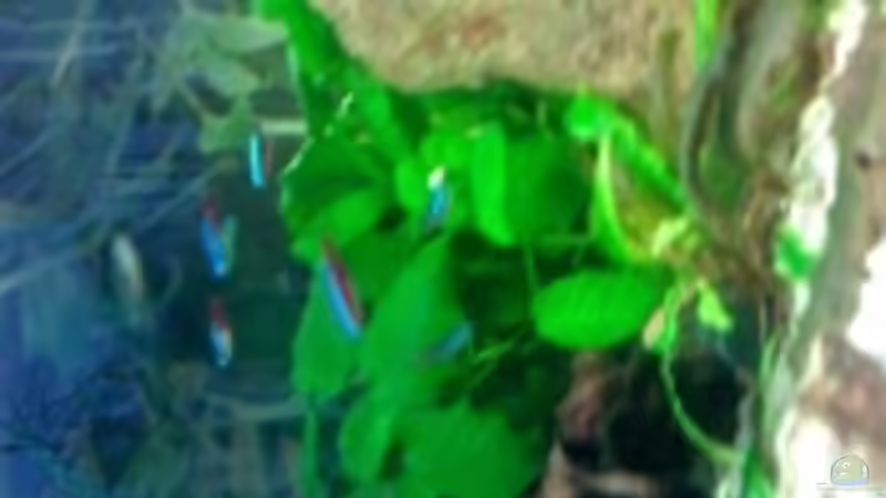 Nochmal neons von Felix Braune (6)