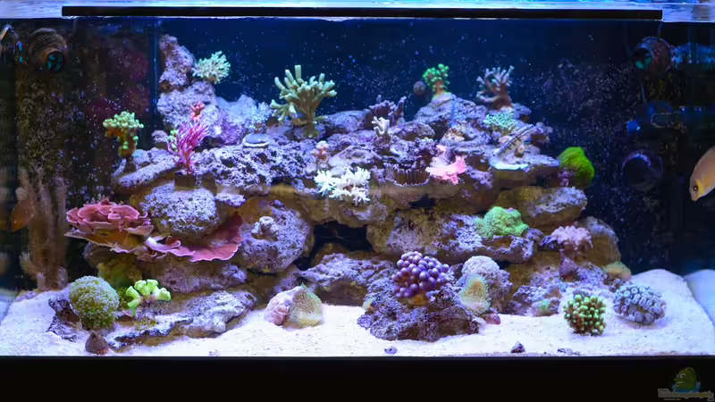 Nochmal Totalansicht von Brookshaw (44)