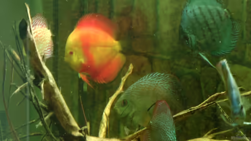 nochmal Truppe von kellerkind (42)