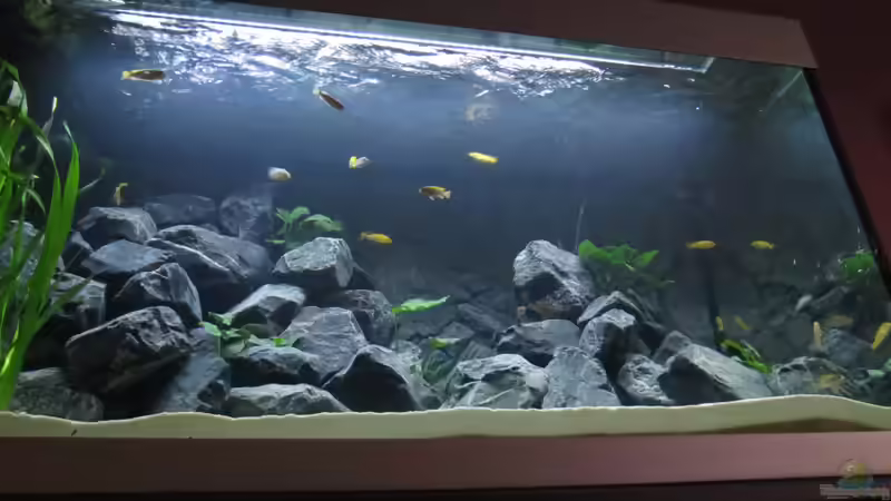 Nochmal von unten  von BastiB (4)