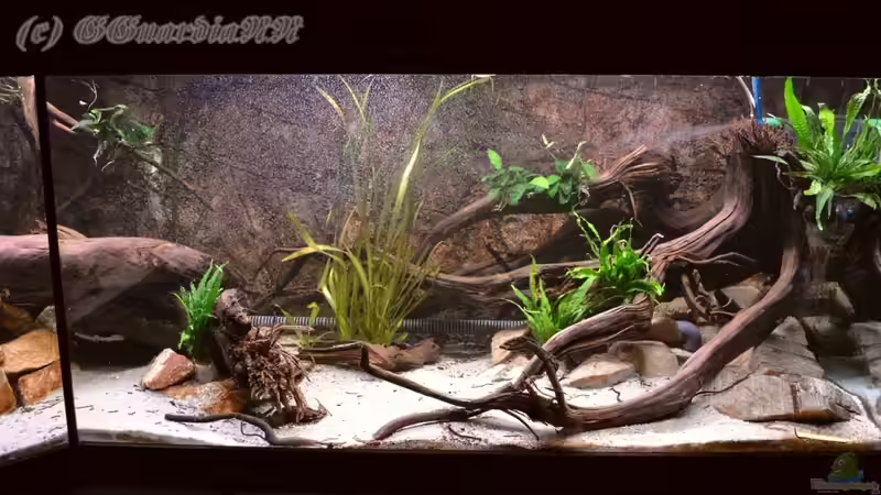 Nochmals Gesamtansicht Rechts und ein Teil der Mitte, Stand: 22.10.2011 von GGuardiaNN (10)