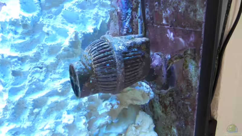 NoName JVP 5000 l/h von JuWa (22)