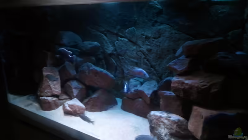 Nonbunalaketank von Sascha Riebke (1)