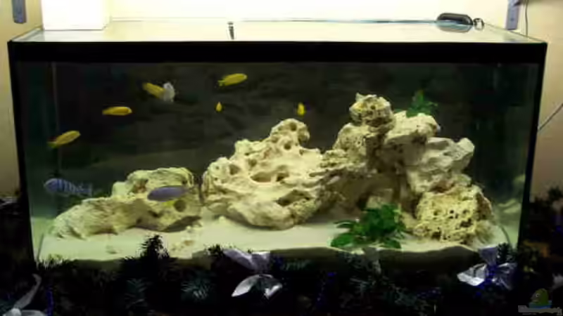 normale Beleuchtung beim alten Becken von babyschlumpf (2)