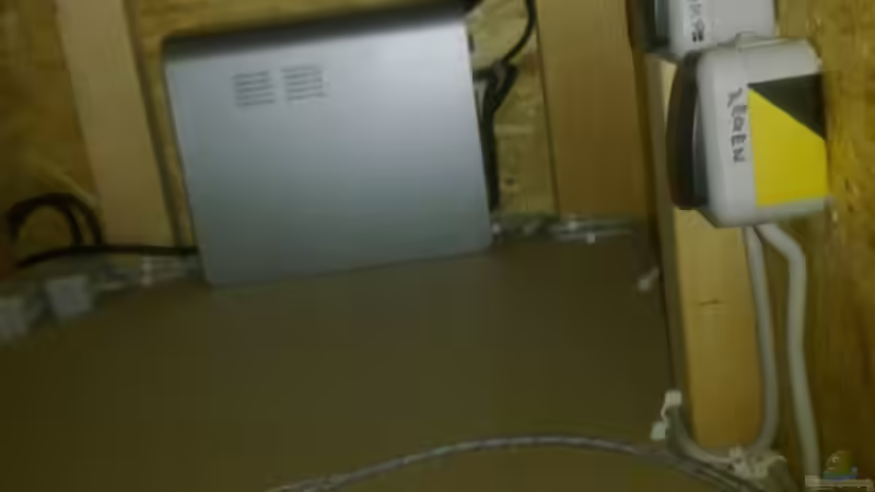 Notstrom ;) Falls der Strom mal ausfällt, damit Temperatur, Filter und alle Einstellungen erhalten bleiben. Alle Steckdosen sind genau da, wo sie gebraucht werden. von Betta Chris (38)