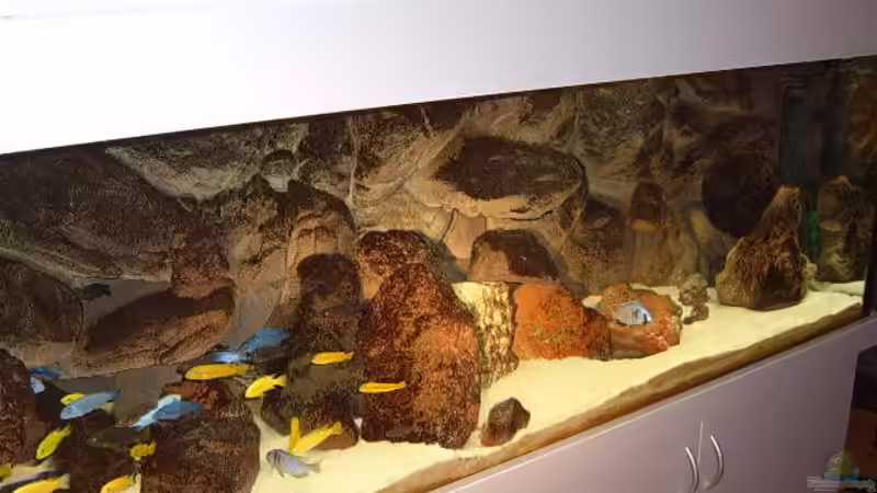 Nov. 2006 von Roland Elsenbruch (3)