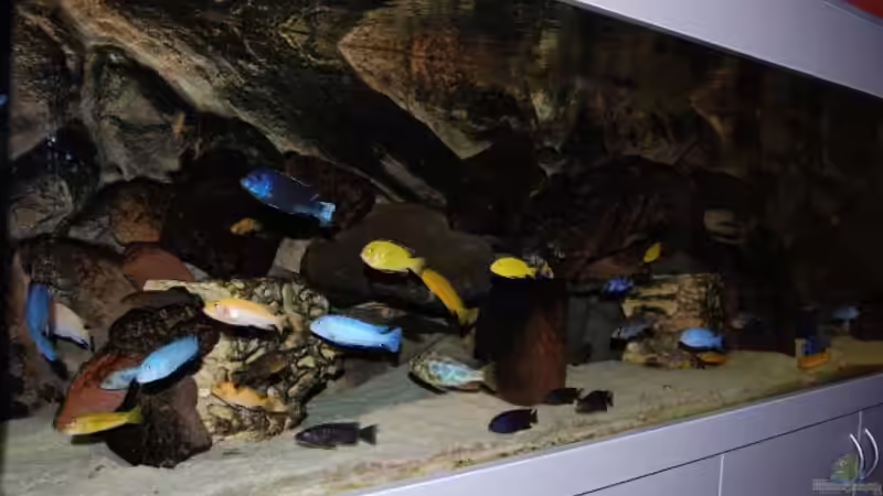 Nov. 2007 von Roland Elsenbruch (4)