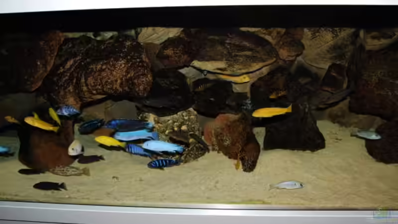 Nov. 2007 von Roland Elsenbruch (5)